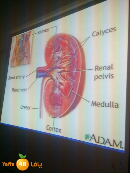 shamelatebb (13).JPG